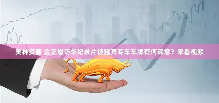 美林资管 金正恩访华纪录片披露其专车车牌有何深意？来看视频
