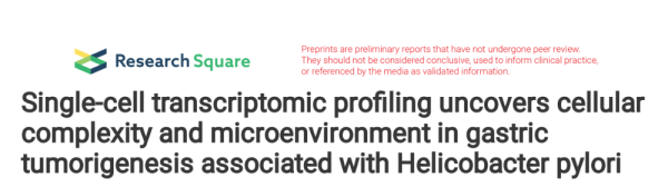 鑫耀证券 单细胞转录组谱解析幽门螺杆菌相关胃癌发生中的细胞复杂性与微环境
