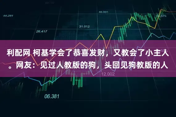利配网 柯基学会了恭喜发财，又教会了小主人。网友：见过人教版的狗，头回见狗教版的人