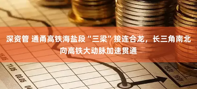 深资管 通甬高铁海盐段“三梁”接连合龙，长三角南北向高铁大动脉加速贯通